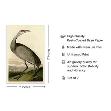Ujoyful Vintage Heron and Stork Birds Print | Set of 2 Wild Bird Wall Art | Freshwater Wading Bird D...