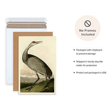 Ujoyful Vintage Heron and Stork Birds Print | Set of 2 Wild Bird Wall Art | Freshwater Wading Bird Decor | Audubon Bird Prints | Vintage Painting Set for Home, Office Wall Decor (11"x17" Unframed)