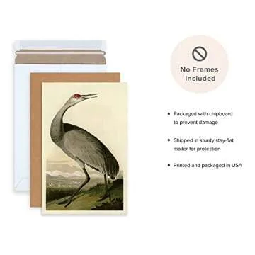 Ujoyful Vintage Heron and Stork Birds Print | Set of 2 Wild Bird Wall Art | Freshwater Wading Bird Decor | Audubon Bird Prints | Vintage Painting Set for Home, Office Wall Decor (11"x17" Unframed)