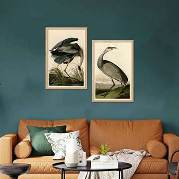 Ujoyful Vintage Heron and Stork Birds Print | Set of 2 Wild Bird Wall Art | Freshwater Wading Bird Decor | Audubon Bird Prints | Vintage Painting Set for Home, Office Wall Decor (11"x17" Unframed)