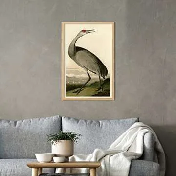 Ujoyful Vintage Heron and Stork Birds Print | Set of 2 Wild Bird Wall Art | Freshwater Wading Bird Decor | Audubon Bird Prints | Vintage Painting Set for Home, Office Wall Decor (11"x17" Unframed)