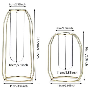 Stylish MARATTI 2 Pcs Flower Vases for Any Occasion