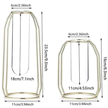 Stylish MARATTI 2 Pcs Flower Vases for Any Occasion