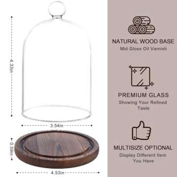 REFSAVER Glass Dome with Wooden Base for Display
