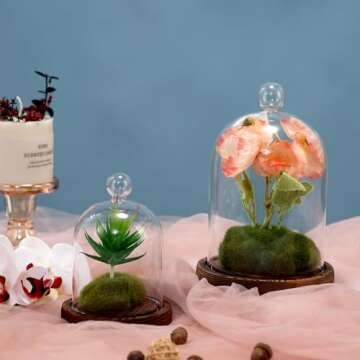 REFSAVER Glass Dome with Wooden Base for Display