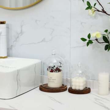 REFSAVER Glass Dome with Wooden Base for Display