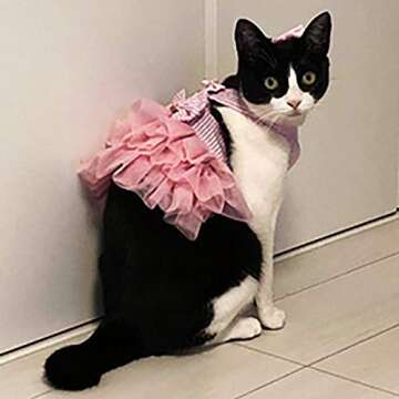 Petea Pet Clothes Cute Elegant Puppy Bowknot Princess Tutu Dress Dog Cat Stripe Birthday Gauze Dress...