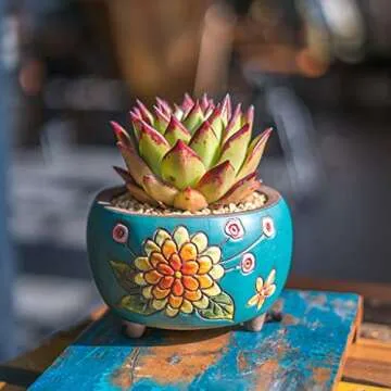 Summer Impressions 5 Inch Hand Painted Succulent Cactus Plant Pot Clay Pot Flower Pot Planter Container Floral Design with Drainage Hole Saucers (Deep Round Pack of 4)