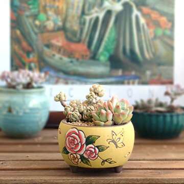 Summer Impressions 5 Inch Hand Painted Succulent Cactus Plant Pot Clay Pot Flower Pot Planter Container Floral Design with Drainage Hole Saucers (Deep Round Pack of 4)