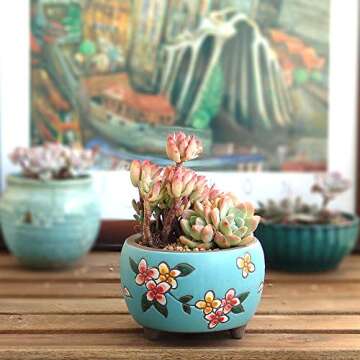 Summer Impressions 5 Inch Hand Painted Succulent Cactus Plant Pot Clay Pot Flower Pot Planter Container Floral Design with Drainage Hole Saucers (Deep Round Pack of 4)