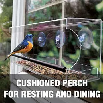Sun Joe SJ-WBF-WN Clear Window Bird Feeder for Wild Birds