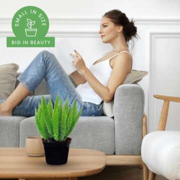 American Plant Exchange Foxtail Fern Live Plant, Exotic Pluming Foliage, 6-Inch Pot, Easy to Care Tropical Shrub for Outdoor Landscapes and Indoor Jungles