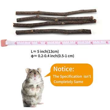 CHUHUAYUAN Natural Apple Sticks, 300g Healthy Chews for Small Animals