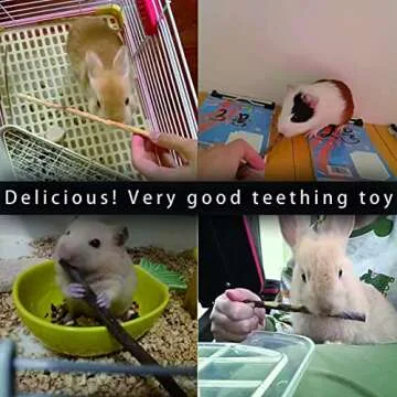 CHUHUAYUAN Apple Sticks for Small Animals, Healthy Chews