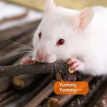 CHUHUAYUAN Apple Sticks for Small Animals, Healthy Chews