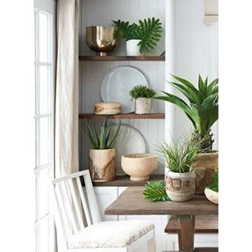 Beautiful Paulownia Wood Bowl - Handmade Decorative Centerpiece