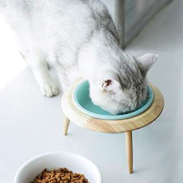 LIONWEI Adjustable Elevated Pet Bowl with Wood Stand