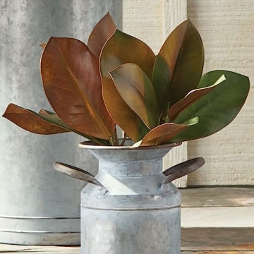 NAPA Magnolia Pick 16" - Realistic Indoor Decor