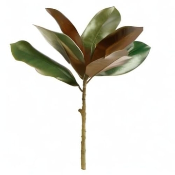 NAPA Magnolia Pick 16" - Realistic Indoor Decor