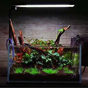 majoywoo Natural Coral Driftwood for Aquarium Decor 5 Pcs