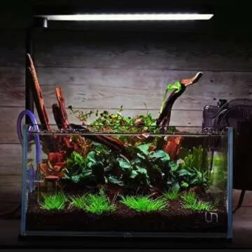 majoywoo Natural Coral Driftwood for Aquarium Decor 5 Pcs