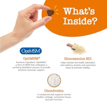 Zesty Paws Hip and Joint Supplement - Bacon Flavor 90 Count