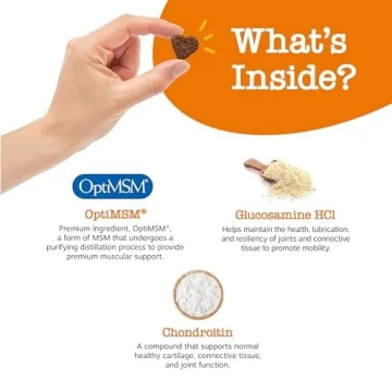 Zesty Paws Hip and Joint Supplement - Bacon Flavor 90 Count