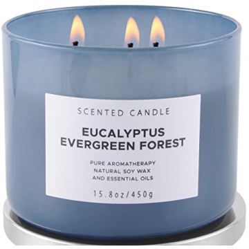 Eucalyptus Evergreen Forest Luxury 3 Wick Winter Pine Candle for Home | Aromatherapy Stress Relief S...