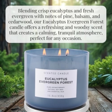 Eucalyptus Evergreen Forest 3 Wick Candle for Relaxation
