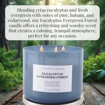 Eucalyptus Evergreen Forest 3 Wick Candle for Relaxation