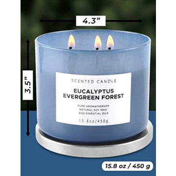 Eucalyptus Evergreen Forest 3 Wick Candle for Relaxation