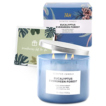 Eucalyptus Evergreen Forest 3 Wick Candle for Relaxation