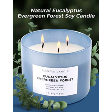 Eucalyptus Evergreen Forest 3 Wick Candle for Relaxation