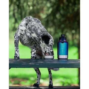 IRON °FLASK Portable Dog Water Bottle with Bowls for Travel