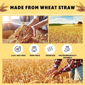 Eco-Friendly Wheat Straw Dinnerware Set Unbreakable Microwave Safe