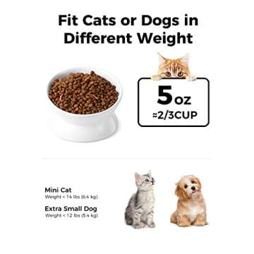 LoeJan Elevated Cat Food Bowl, 5 Oz Ceramic Raised and Tilted Water Bowl, Anti Vomiting and Protect ...