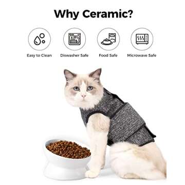 LoeJan Elevated Cat Food Bowl, 5 Oz Ceramic Raised and Tilted Water Bowl, Anti Vomiting and Protect Pets' Spines Dishes for Small Dog, Fat Faced Cat, Kitten (White, 1 Pack)