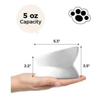 LoeJan Elevated Cat Food Bowl, 5 Oz Ceramic Raised and Tilted Water Bowl, Anti Vomiting and Protect Pets' Spines Dishes for Small Dog, Fat Faced Cat, Kitten (White, 1 Pack)