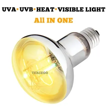 UVA UVB Sun Lamp for Reptile Health and Happiness