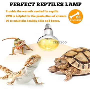UVA UVB Sun Lamp for Reptile Health and Happiness
