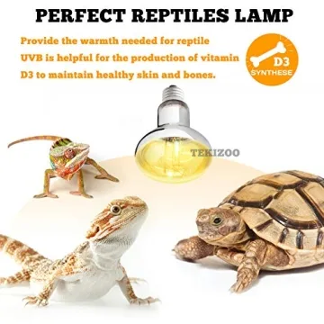 UVA UVB Sun Lamp for Reptile Health and Happiness