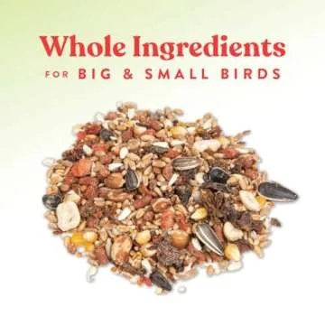 Harvest Delight Chicken Scratch Treats for Happy Flock