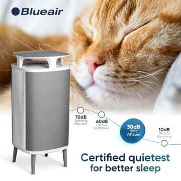 BLUEAIR Air Purifier Large Room, Table Top Air Cleaner for Dust Pet Dander Smoke Mold Pollen Bacteria Virus Allergen, Odor Removal, Home Bedroom Living Room, Alexa, Auto, HEPASilent, DustMagnet 5440i