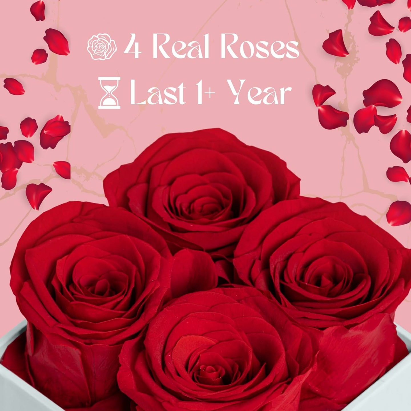 Eternal Red Preserved Roses in Chelsea Box Gift