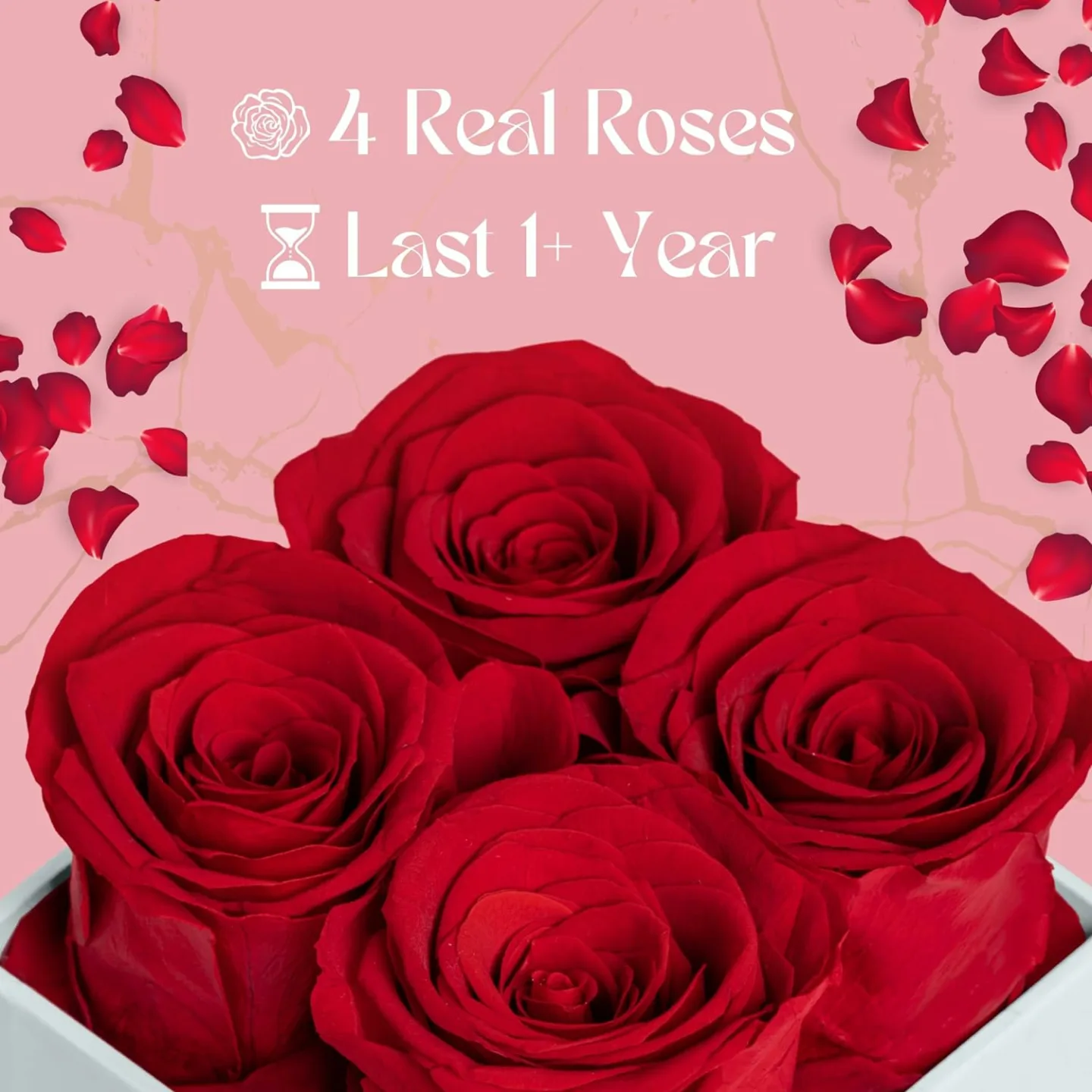 Eternal Red Preserved Roses in Chelsea Box Gift