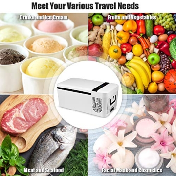 COSTWAY Portable Car Freezer: 16qt for Camping & Travel