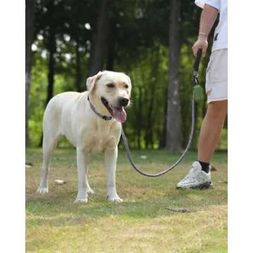Joytale Reflective Dog Leash, Heavy Duty Nylon Rope with Poop Bag Holder, Highly Reflective Threads ...