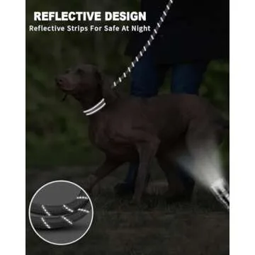Joytale Reflective Dog Leash with Poop Bag Holder and Comfort