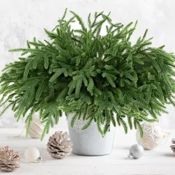 16 PCS Artificial Norfolk Pine Christmas Branches for Holidays