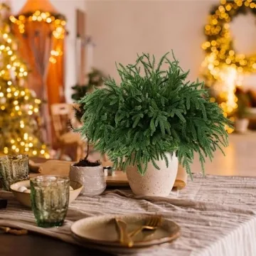 16 PCS Artificial Norfolk Pine Christmas Branches for Holidays